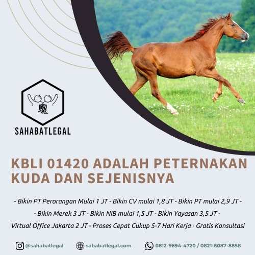 KBLI 01420 adalah Peternakan Kuda dan Sejenisnya