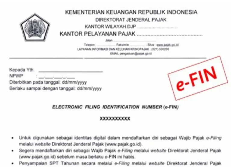 apa itu efin