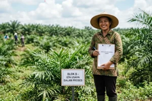 izin usaha perkebunan